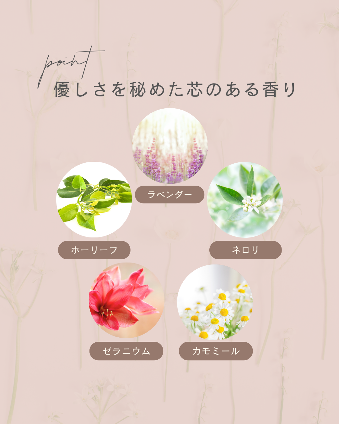 image-text image-text